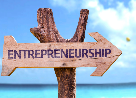 The Unstoppable Growth of Entrepreneurship: Nurturing Innovation and Economic Progress